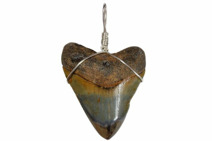 Fossil Megalodon Tooth Necklace #173872